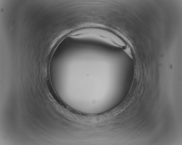 X0000083620015200703051621