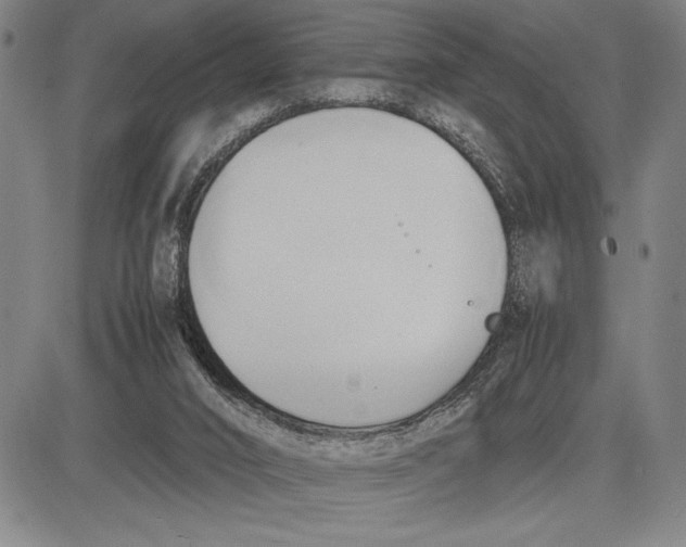 X0000083620016200703051621