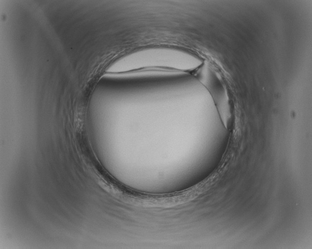 X0000083620017200703051621