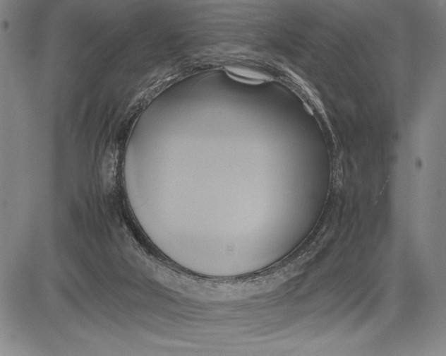 X0000083620018200703051621