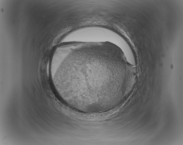 X0000083620019200703051621