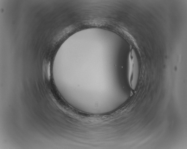 X0000083620020200703051621