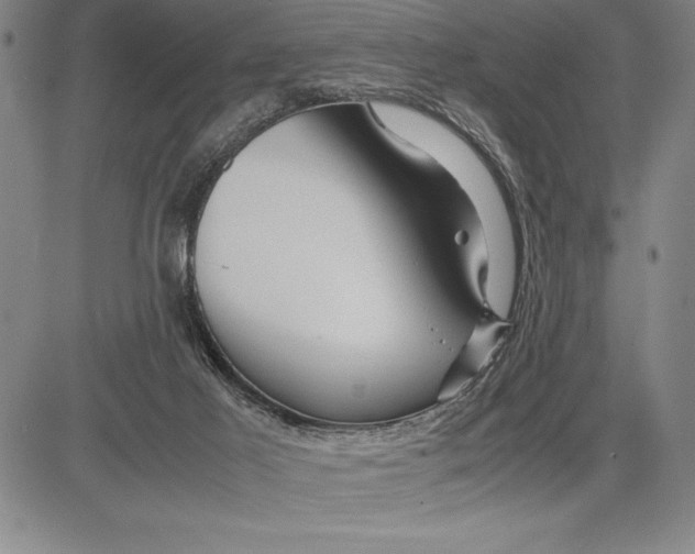 X0000083620021200703051621