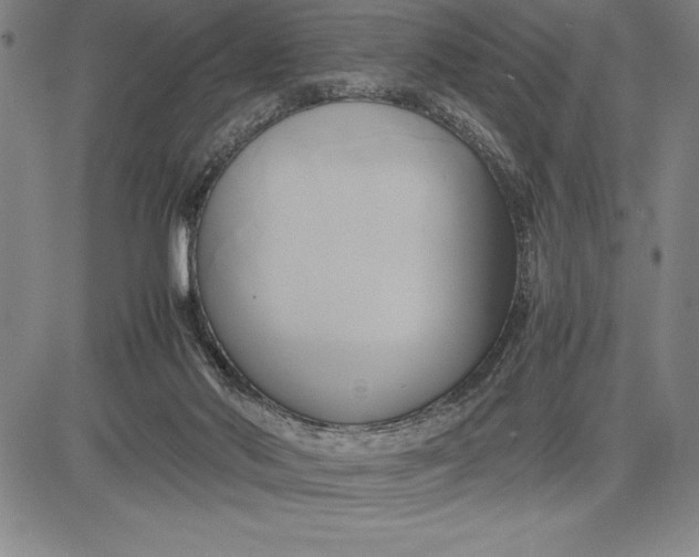 X0000083620022200703051621