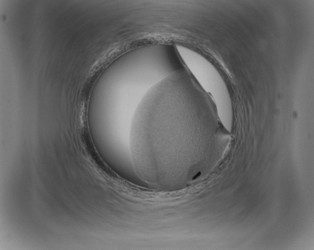 X0000083620023200703051621