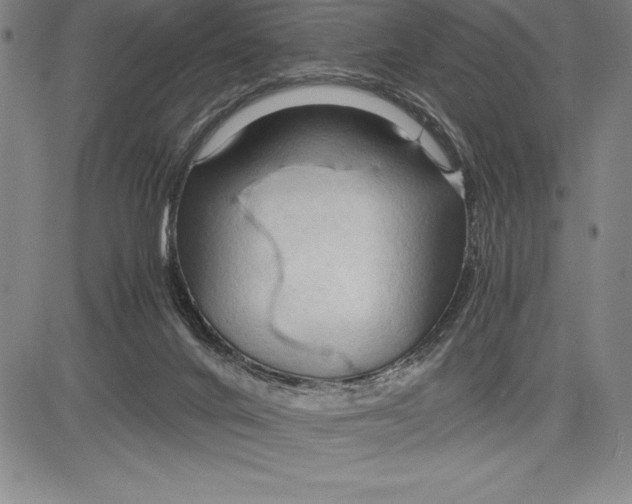 X0000083620024200703051621