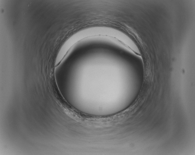 X0000083620025200703051621