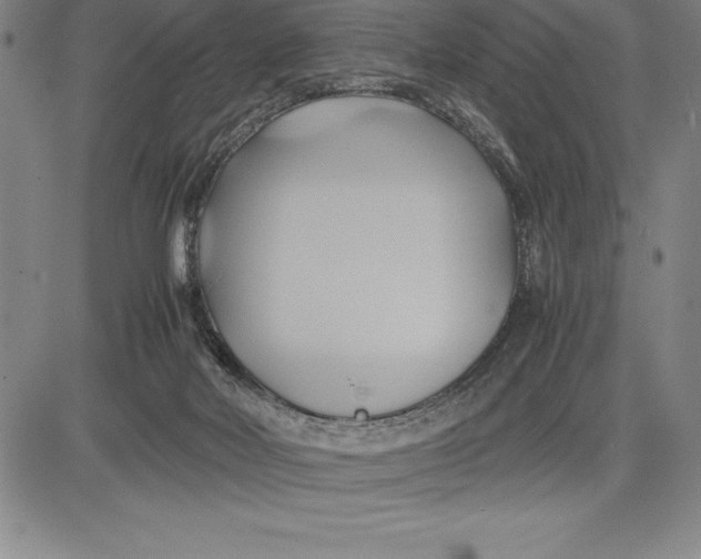 X0000083620026200703051621