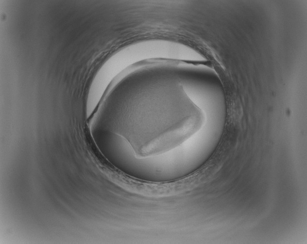 X0000083620027200703051621