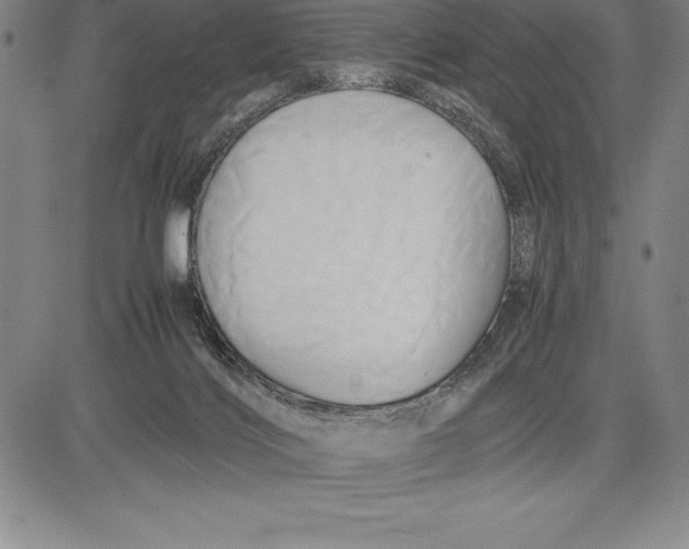 X0000083620028200703051621