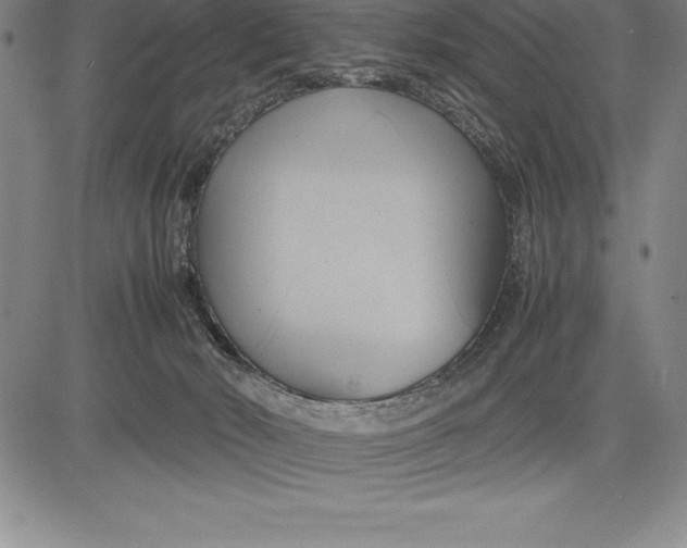 X0000083620030200703051621