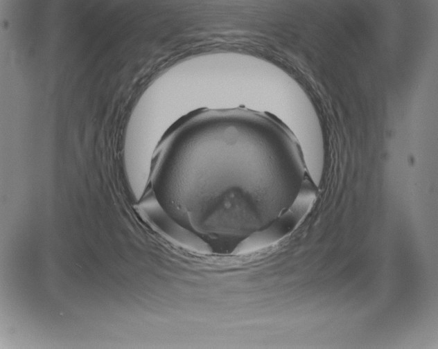 X0000083620031200703051621