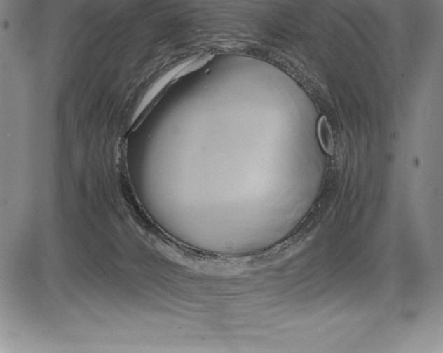 X0000083620032200703051621