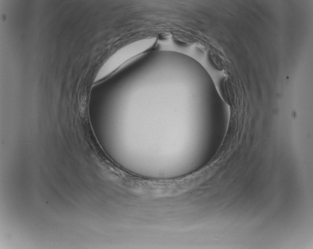 X0000083620033200703051621