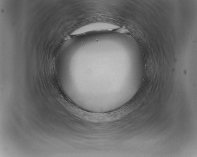 X0000083620034200703051621