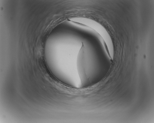 X0000083620035200703051621