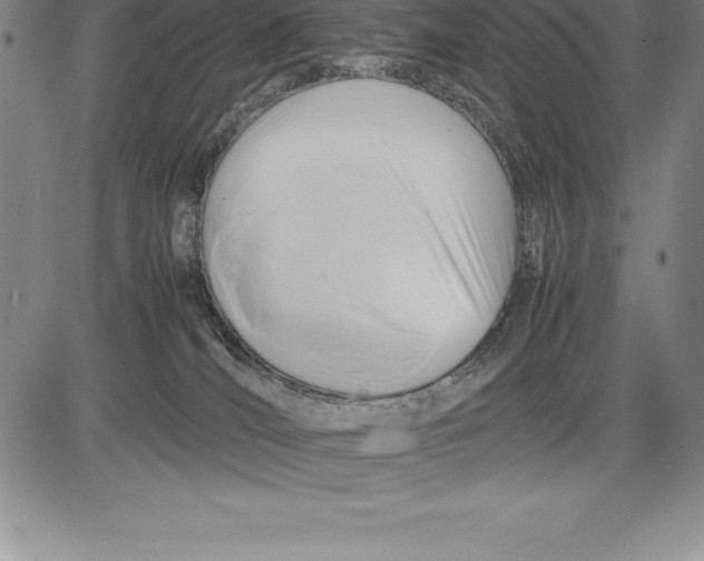 X0000083620036200703051620