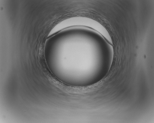 X0000083620037200703051620