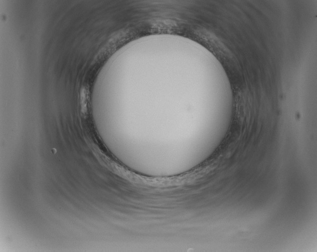 X0000083620038200703051620