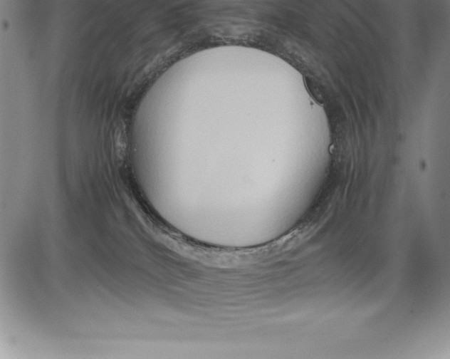 X0000083620040200703051620