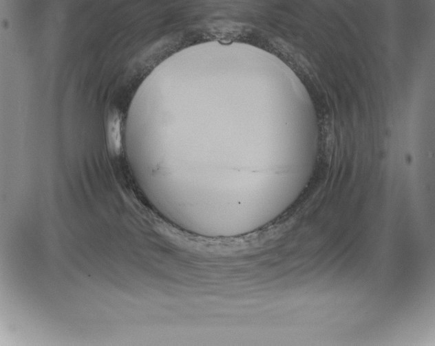 X0000083620042200703051620