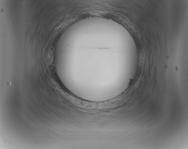 X0000083620043200703051620