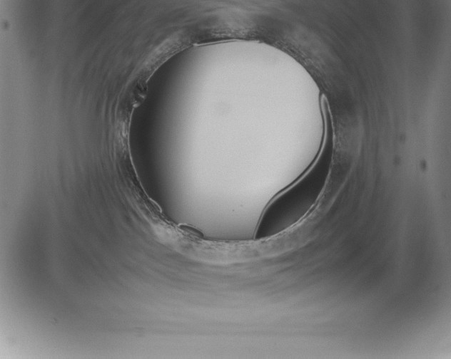 X0000083620045200703051620