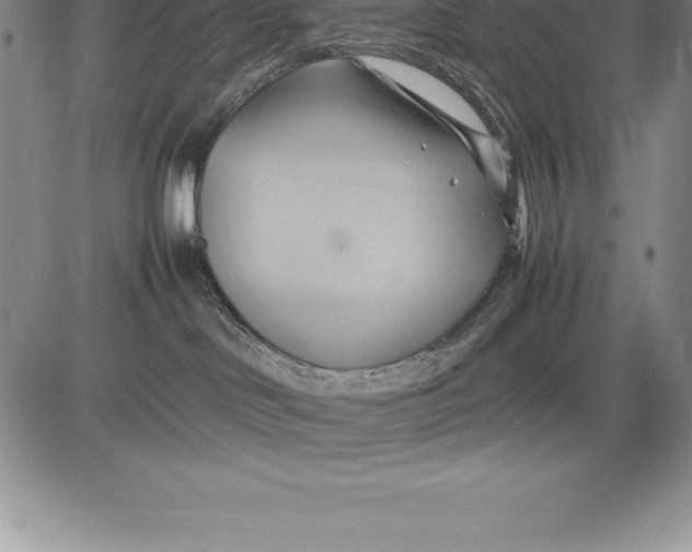 X0000083620046200703051620