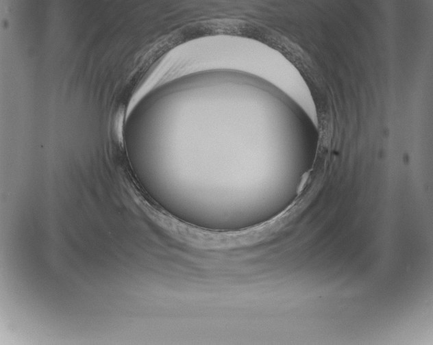 X0000083620047200703051620