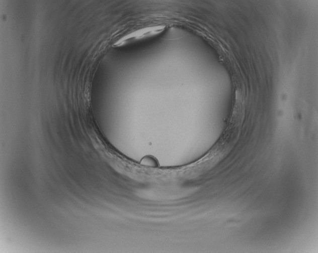 X0000083620048200703051620