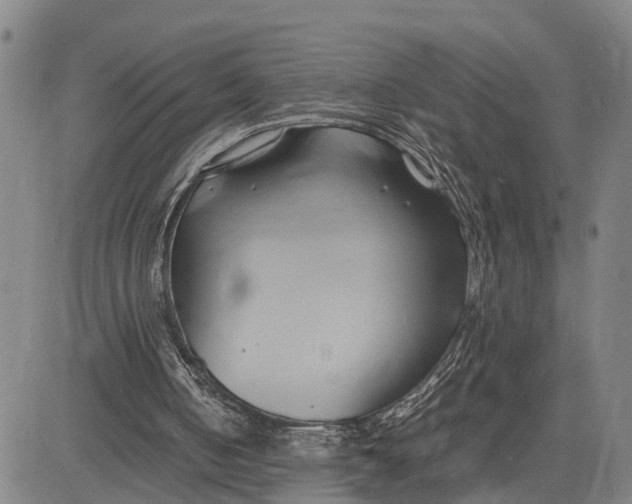 X0000083620050200703051619