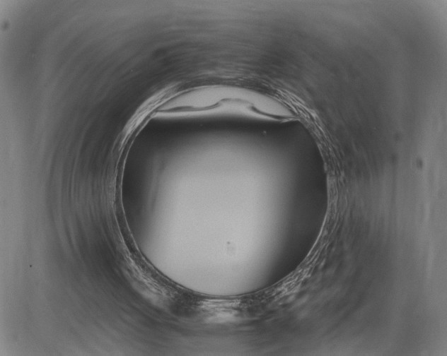 X0000083620051200703051620