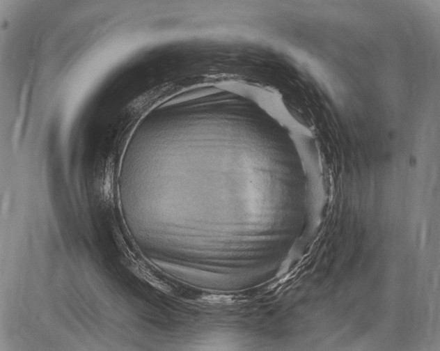 X0000083620052200703051620