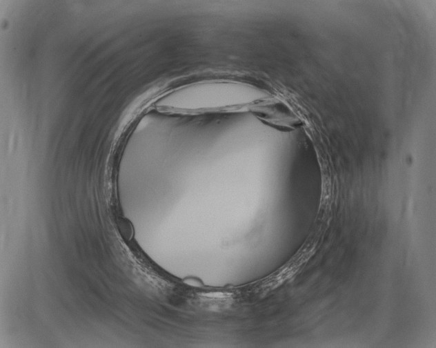 X0000083620053200703051620