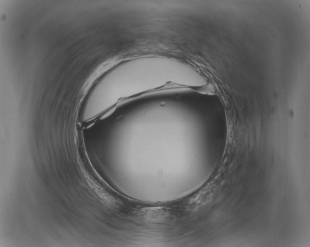 X0000083620054200703051620