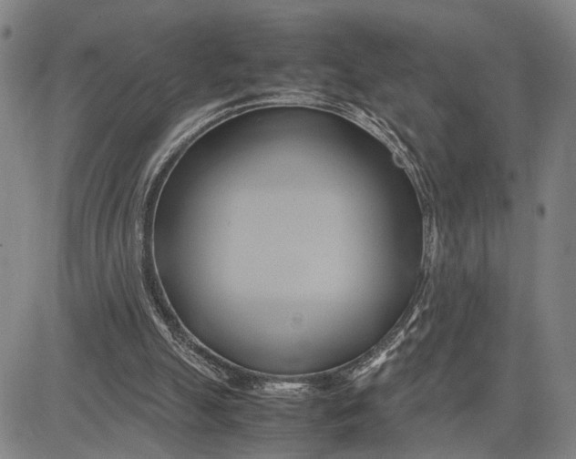 X0000083620055200703051620