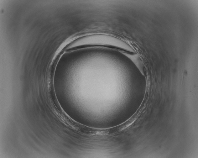 X0000083620056200703051620