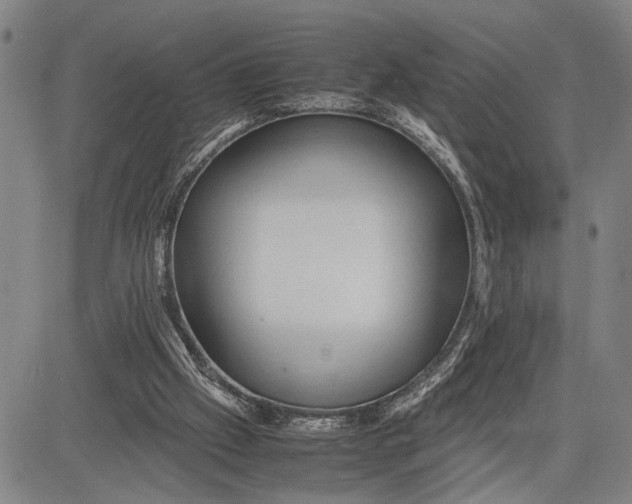 X0000083620057200703051620