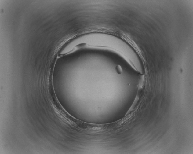 X0000083620058200703051620