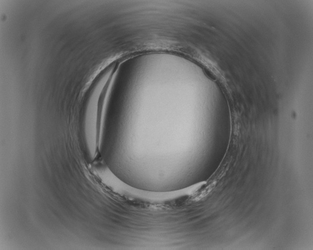 X0000083620060200703051620