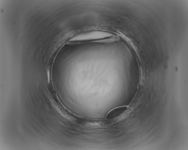 X0000083620061200703051620