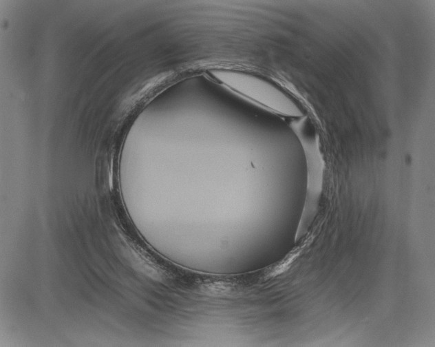 X0000083620062200703051620