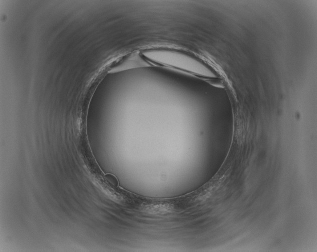 X0000083620063200703051620