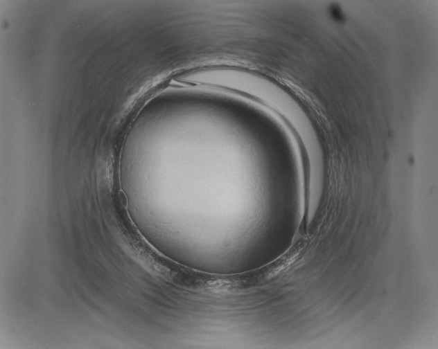 X0000083620064200703051620