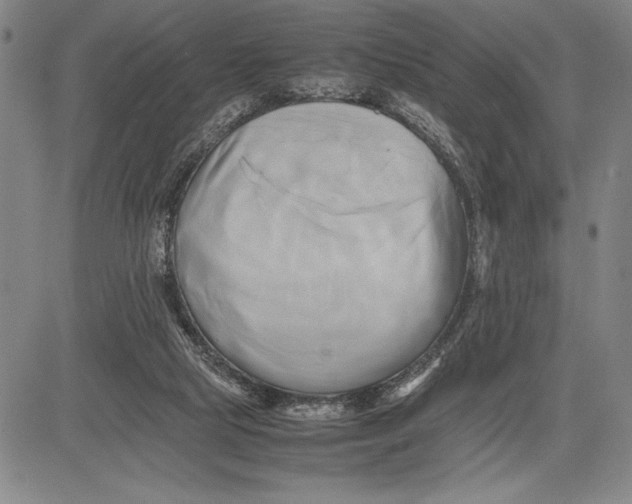 X0000083620065200703051620