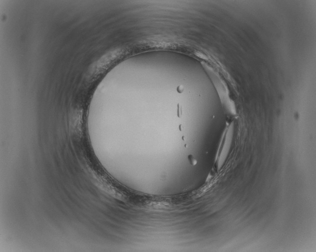 X0000083620066200703051620