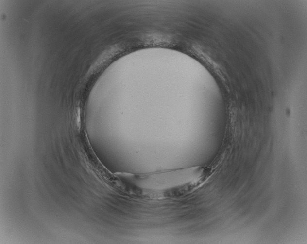 X0000083620067200703051620