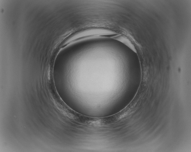 X0000083620068200703051620