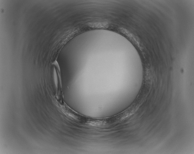 X0000083620069200703051620