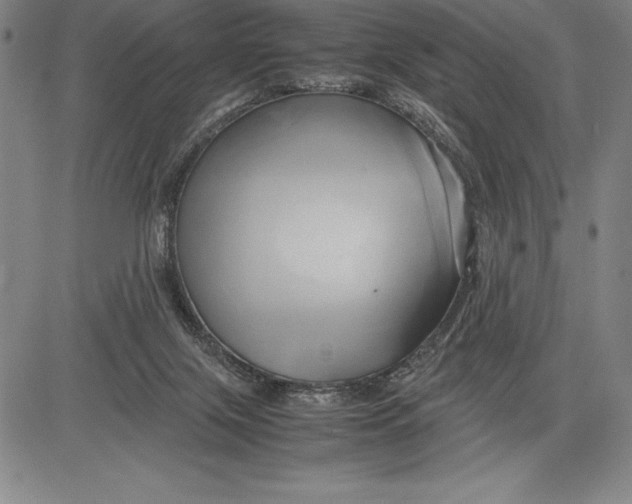 X0000083620071200703051620